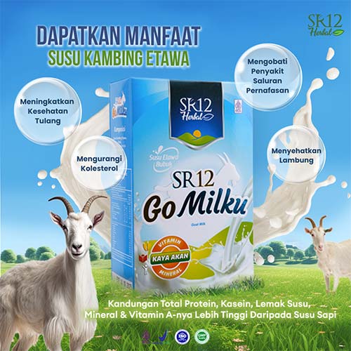 Gomilku SR12 – 600gr